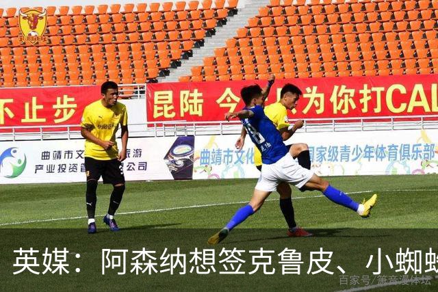 英媒：阿森纳想签克鲁皮、小蜘蛛、罗杰斯，均面临与巴黎的竞争